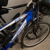 Bici mountain bike