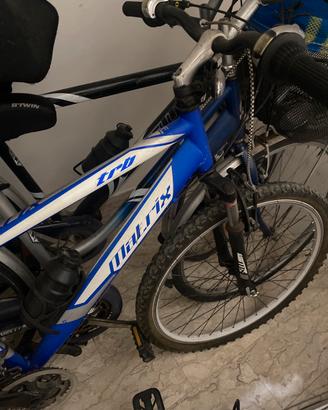 Bici mountain bike