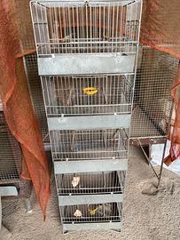 Gabbia verticale per canarini