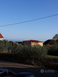 Trilocale Ceriale Sv