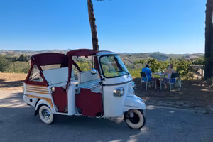 Piaggio Ape Calessino diesel