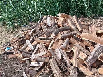 legna da ardere leccio-qualita superiore-