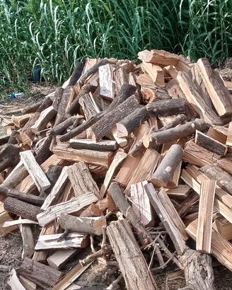legna da ardere leccio-qualita superiore-