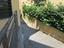 Immagine 11