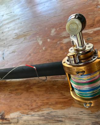 Cannavdabtraina Mariner stan up 8/12 lb piu muline