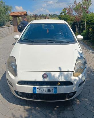 fiat punto 