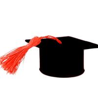 Bomboniera laurea
