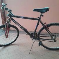 bicicletta usata