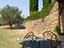 Immagine 14