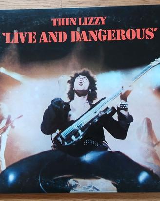 2 VINILI ROCK ANNI '70