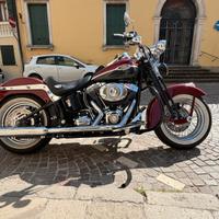 Harley Davidson softail springer