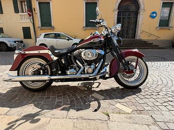 Harley Davidson softail springer