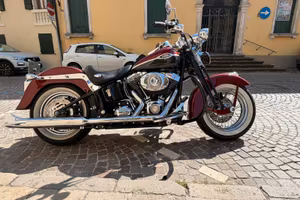 Harley Davidson softail springer