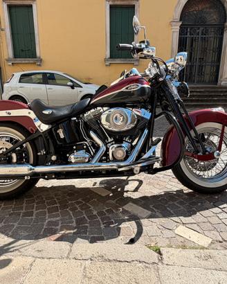 Harley Davidson softail springer