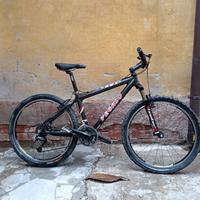 MTB carbonio FM