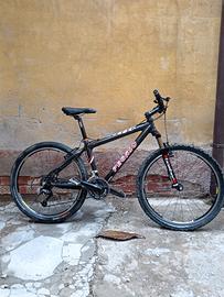 MTB carbonio FM
