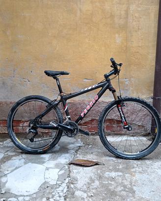 MTB carbonio FM