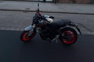 Mt 125