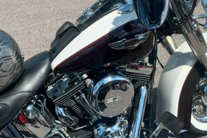 Harley davidson