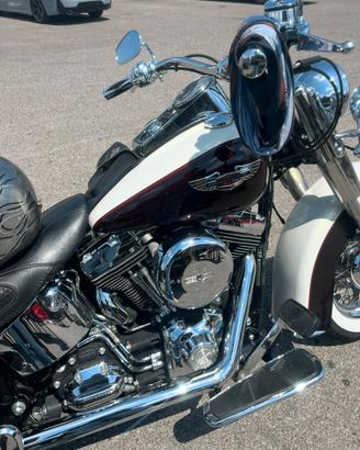 Harley davidson