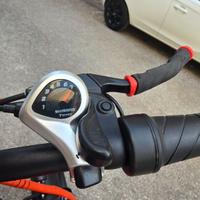 Bicicletta elettrica