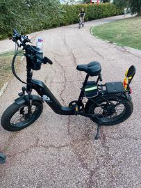 E-bike fat-bike Velomarche N-Ver9.3