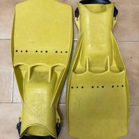 Pinne Tech Fin Dive System