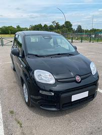 FIAT PANDA 2025 - 11.000KM