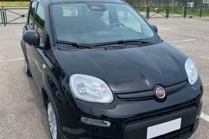 FIAT PANDA 2025 - 11.000KM