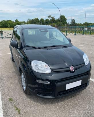 FIAT PANDA 2025 - 11.000KM