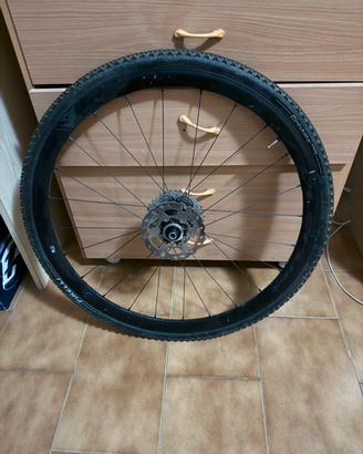 Ruote fulcrum