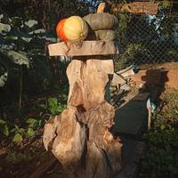 TaglieriTavolini legno massello artigianali da 50€