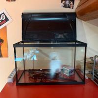 Acquario, luce led, riscaldatore e retina 🐟