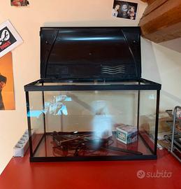 Acquario, luce led, riscaldatore e retina 🐟