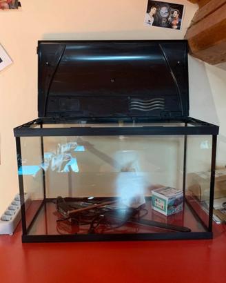 Acquario, luce led, riscaldatore e retina 🐟