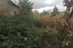 Terreno in c/da Piatamone, Pignola, PZ