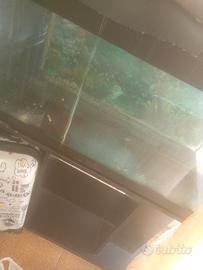 acquario grande più mobiletto