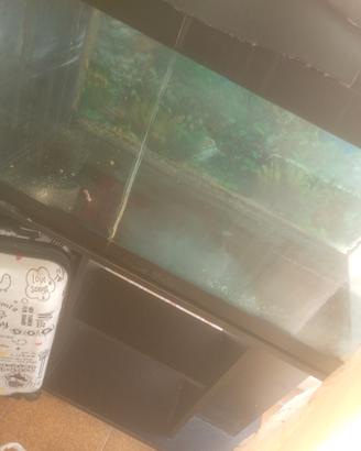 acquario grande più mobiletto