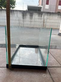 Acquario