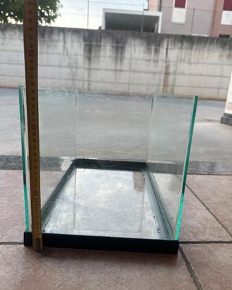 Acquario