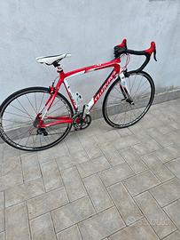 bici da corsa willer triestina 
