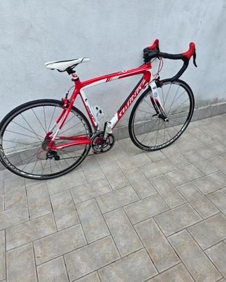 bici da corsa willer triestina 