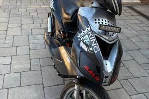 SR 50 FACTORY 2007