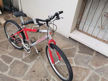 Bici da ragazzino