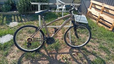 bicicletta uomo 