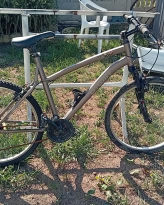 bicicletta uomo 