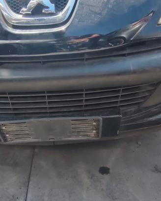 PEUGEOT 206 PLUS 2010 PARAURTI ANTERIORE