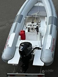 Gommone 6m + Mercury 115cv (2023) + Carrello