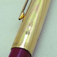 Penna stilografica Parker 61 cap arcobaleno