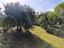 Immagine 18